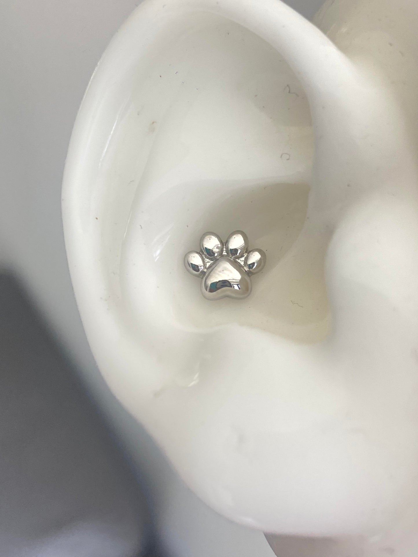 Paws Helix Earrings