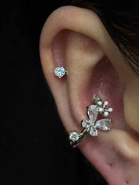 Vine Grove Conch Earrings